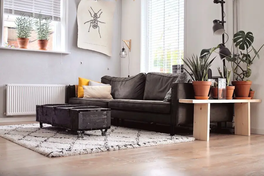 Wohnzimmer mit Sofa, Teppich und Pflanzen am Fenster